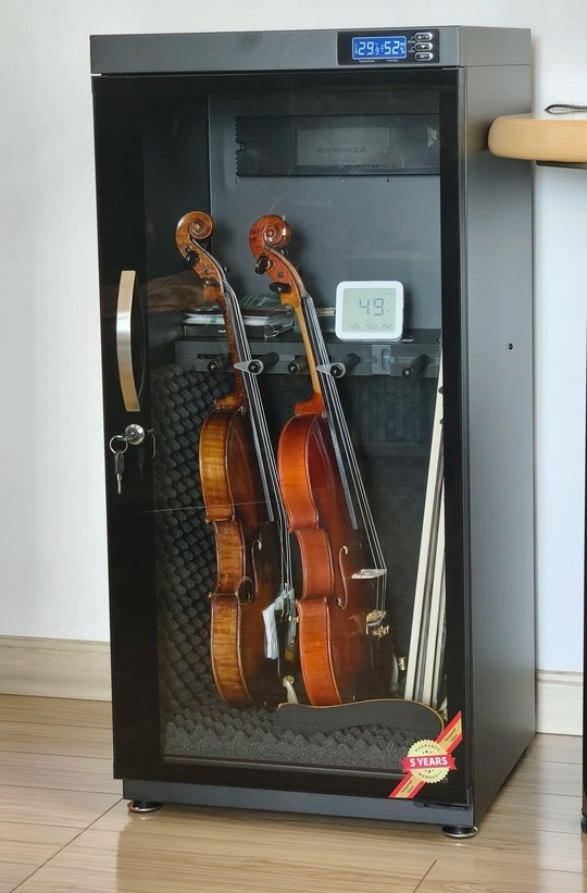 Musical Instrument Violin - الذكية الرطوبة الثابتة خزانة جافة DS-125M
