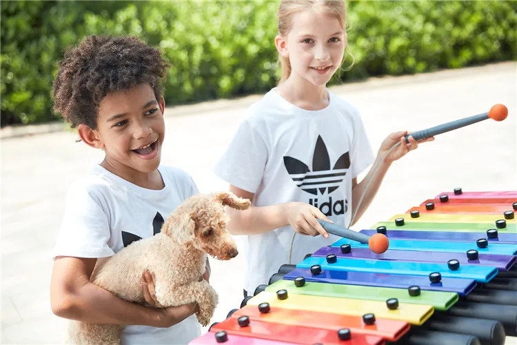 آلات موسيقية إيقاعية للأطفال ف - مراجعة Musical Instrument Park وسعره