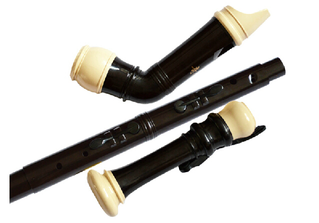 المهنية 8 ثقوب الباروك باس الر - مراجعة Recorder Baroque Style وسعره