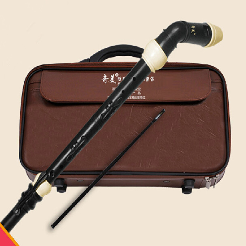 المهنية 8 ثقوب الباروك باس الر - مراجعة Recorder Baroque Style وسعره