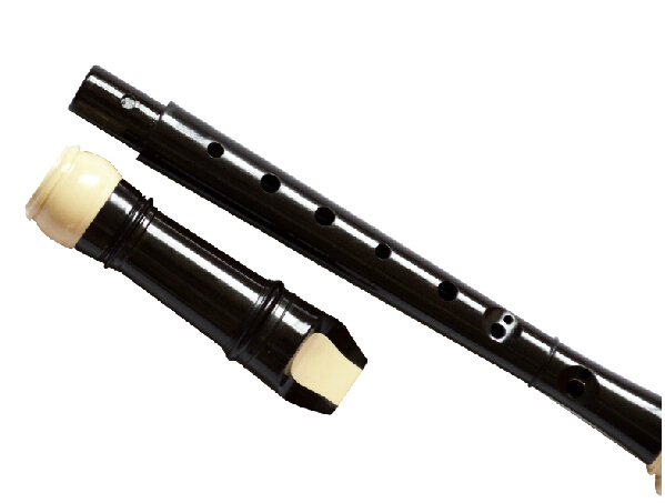 الباروك 8 ثقوب سوبرانو البلاست - مراجعة Recorder Baroque Style وسعره